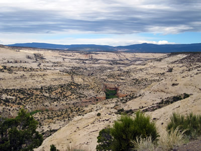 view from road